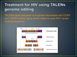 Talens Overview Applications of talens | PPTX