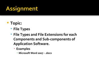 Software Application File Extensions Application software | PPT