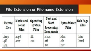 File Extension or File name Extension
 