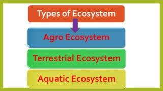 Types of Ecosystem
Agro Ecosystem
Terrestrial Ecosystem
Aquatic Ecosystem
 