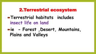 2.Terrestrial ecosystem
Terrestrial habitats includes
insect life on land
ie - Forest ,Desert, Mountains,
Plains and Valleys
 