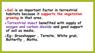 Soil is an important factor in terrestrial
habitats because it supports the vegetation
growing in that area.
Terrestrial insect benefited with supply of
oxygen and carbon dioxide and good support
of soil as media.
Eg- Grasshopper , Termite, White grub,
Butterfly , Moths.
 