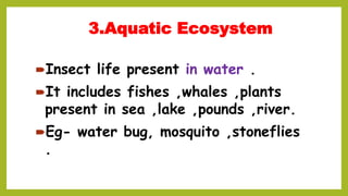 3.Aquatic Ecosystem
Insect life present in water .
It includes fishes ,whales ,plants
present in sea ,lake ,pounds ,river.
Eg- water bug, mosquito ,stoneflies
.
 