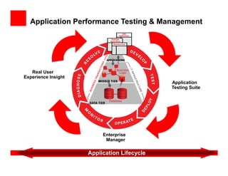 Application Performance Testing Process Application Testing Suite | PDF