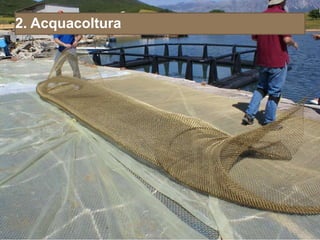 2. Acquacoltura
 