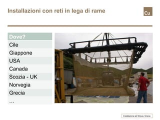 Installazioni con reti in lega di rame
Installazione ad Nireus, Grecia
Dove?
Cile
Giappone
USA
Canada
Scozia - UK
Norvegia
Grecia
…
 