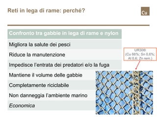 Reti in lega di rame: perché?
Confronto tra gabbie in lega di rame e nylon
Migliora la salute dei pesci
Riduce la manutenzione
Impedisce l’entrata dei predatori e/o la fuga
Mantiene il volume delle gabbie
Completamente riciclabile
Non danneggia l’ambiente marino
Economica
UR30®
(Cu 66%; Sn 0,6%;
Al 0,6; Zn rem.)
 