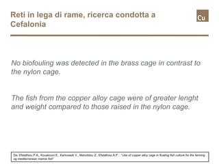 Reti in lega di rame, ricerca condotta a
Cefalonia
Da: Efstathiou P.A., Kouskouni E., Karlovasiti V., Manolidou Z., Efstathiou A.P. : “Use of copper alloy cage in floating fish culture for the farming
og mediterranean marine fish”
No biofouling was detected in the brass cage in contrast to
the nylon cage.
The fish from the copper alloy cage were of greater lenght
and weight compared to those raised in the nylon cage.
 