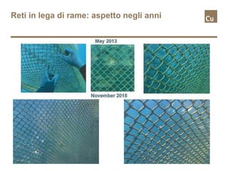 Reti in lega di rame: aspetto negli anni
 