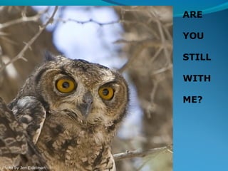 ARE
YOU
STILL
WITH
ME?

Photo by Jen Eidelman

 