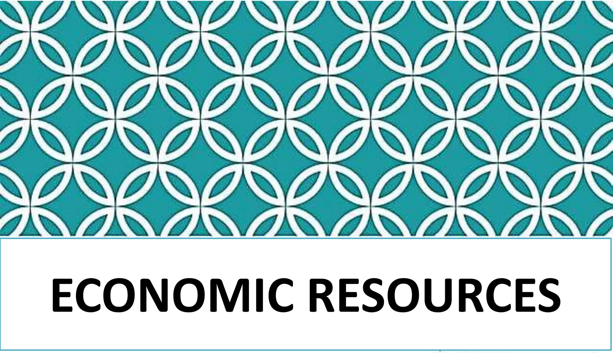 ECONOMIC RESOURCES
 