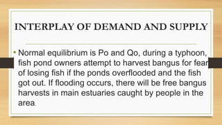 INTERPLAY OF DEMAND AND SUPPLY
• Normal equilibrium is Po and Qo, during a typhoon,
fish pond owners attempt to harvest bangus for fear
of losing fish if the ponds overflooded and the fish
got out. If flooding occurs, there will be free bangus
harvests in main estuaries caught by people in the
area.
 
