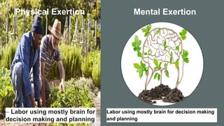 Mental Exertion
Labor using mostly brain for decision making
and planning
Physical Exertion
 