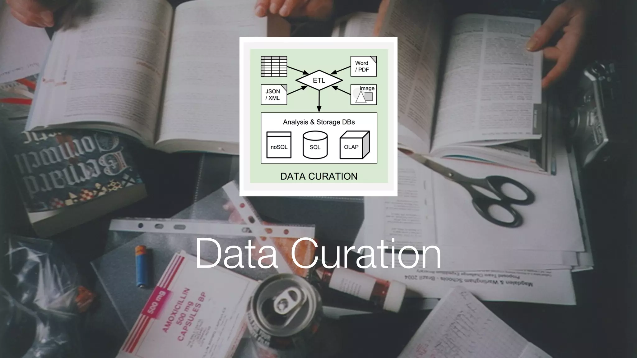 Data Curation
 