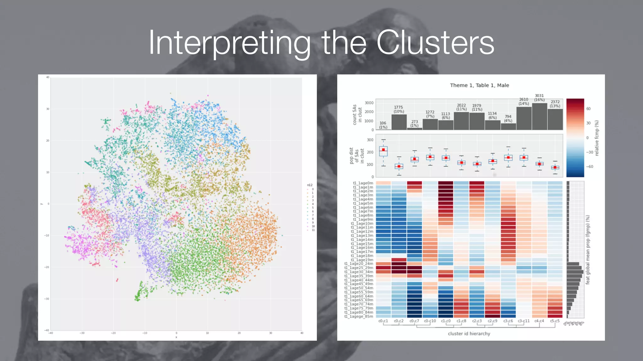 Interpreting the Clusters
 
