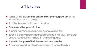 a. Trichomes
 Some of the epidermal cells of most plants, grow out in the
form of hairs or trichomes.
 A collective term of hairs & papillae.
 Occur on all organs of plant.
 2 major categories- glandular & non- glandular.
 Each category subdivided according to their gross structure,
cellular constitution, nature of branching..etc.
 A particular type of hair is constant in a species.
 A property used to identify members of similar families.
 