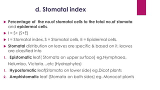 d. Stomatal index
 Percentage of the no.of stomatal cells to the total no.of stomata
and epidermal cells.
 I = S÷ (S+E)
 I = Stomatal index, S = Stomatal cells, E = Epidermal cells.
 Stomatal distribution on leaves are specific & based on it, leaves
are classified into
1. Epistomatic leaf( Stomata on upper surface) eg.Nymphaea,
Nelumbo, Victoria…etc (Hydrophytes)
1. Hypostomatic leaf(Stomata on lower side) eg.Dicot plants
2. Amphistomatic leaf (Stomata on both sides) eg. Monocot plants
 