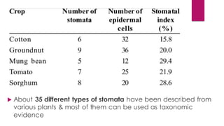  About 35 different types of stomata have been described from
various plants & most of them can be used as taxonomic
evidence
 