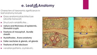e. Leaf🍂Anatomy
Characters of taxonomic significance in
leaf anatomy include
 Gross anatomical architecture
(dicot& monocot)
 Structural variability like…
 nature and thickness of epidermis,
Stomatal crypts
 Features of mesophyll , Bundle
sheath
 Hydathodes , Kranz anatomy
 Foliar nectaries & glands, oil glands
 Features of leaf abcisson
 venation patterns, crystals etc.
 