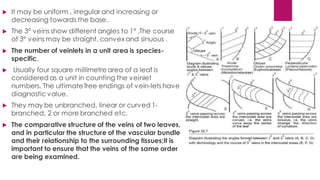  It may be uniform , irregular and increasing or
decreasing towards the base.
 The 3° veins show different angles to 1° .The course
of 3° veins may be straight, convexand sinuous .
 The number of veinlets in a unit area is species-
specific.
 Usually four square millimetre area of a leaf is
considered as a unit in counting the veinlet
numbers. The ultimate free endings of vein-lets have
diagnostic value.
 They may be unbranched, linear or curved 1-
branched, 2 or more branched etc.
 The comparative structure of the veins of two leaves,
and in particular the structure of the vascular bundle
and their relationship to the surrounding tissues;it is
important to ensure that the veins of the same order
are being examined.
 