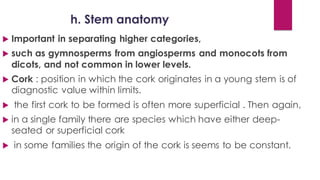 h. Stem anatomy
 Important in separating higher categories,
 such as gymnosperms from angiosperms and monocots from
dicots, and not common in lower levels.
 Cork : position in which the cork originates in a young stem is of
diagnostic value within limits.
 the first cork to be formed is often more superficial . Then again,
 in a single family there are species which have either deep-
seated or superficial cork
 in some families the origin of the cork is seems to be constant.
 