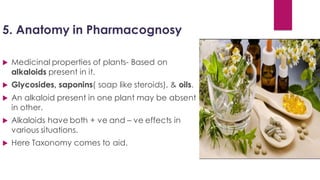 5. Anatomy in Pharmacognosy
 Medicinal properties of plants- Based on
alkaloids present in it.
 Glycosides, saponins( soap like steroids), & oils.
 An alkaloid present in one plant may be absent
in other.
 Alkaloids have both + ve and – ve effects in
various situations.
 Here Taxonomy comes to aid.
 