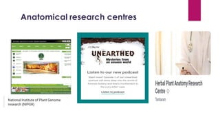 Anatomical research centres
 