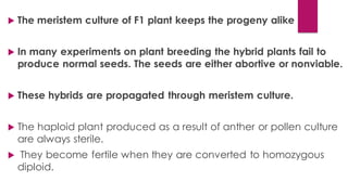  The meristem culture of F1 plant keeps the progeny alike
 In many experiments on plant breeding the hybrid plants fail to
produce normal seeds. The seeds are either abortive or nonviable.
 These hybrids are propagated through meristem culture.
 The haploid plant produced as a result of anther or pollen culture
are always sterile.
 They become fertile when they are converted to homozygous
diploid.
 