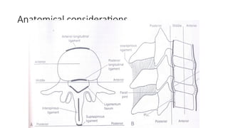 Applied Anatomy and Percutaneous Approaches to the Lumbar spine | PPTX