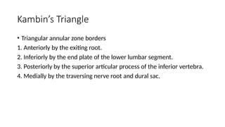 Kabc Triangles Applied Anatomy and Percutaneous Approaches to the Lumbar spine | PPTX