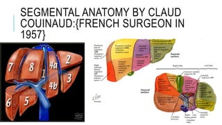 Applied anatomy and physiology of liver | PPTX