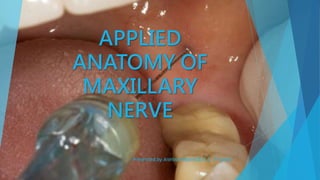 Applied anatomy of maxillary nerve