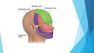 Applied anatomy of maxillary nerve