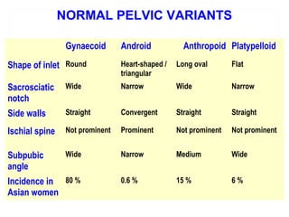 Applied anatomy of pelvis and fetal skull | PPT
