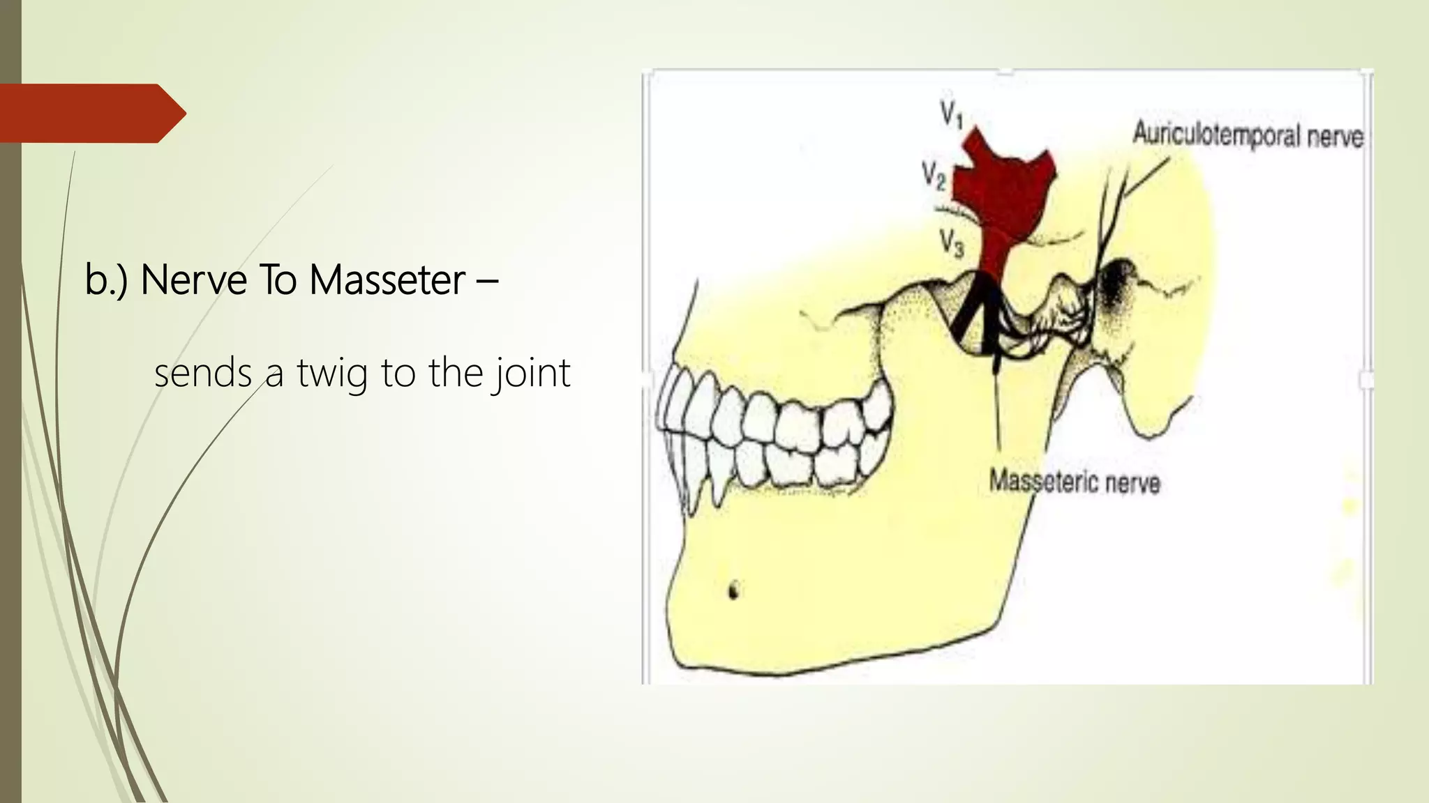 Applied anatomy of tmj | PPTX