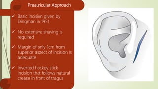 Applied anatomy of tmj | PPTX