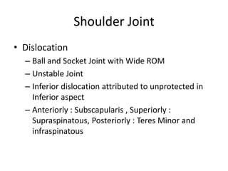 Shoulder Joint
• Dislocation
– Ball and Socket Joint with Wide ROM
– Unstable Joint
– Inferior dislocation attributed to unprotected in
Inferior aspect
– Anteriorly : Subscapularis , Superiorly :
Supraspinatous, Posteriorly : Teres Minor and
infraspinatous
 