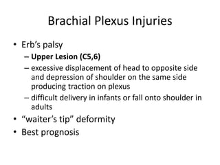Brachial Plexus Injuries
• Erb’s palsy
– Upper Lesion (C5,6)
– excessive displacement of head to opposite side
and depression of shoulder on the same side
producing traction on plexus
– difficult delivery in infants or fall onto shoulder in
adults
• “waiter’s tip” deformity
• Best prognosis
 