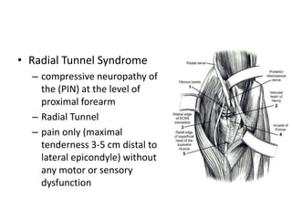 • Radial Tunnel Syndrome
– compressive neuropathy of
the (PIN) at the level of
proximal forearm
– Radial Tunnel
– pain only (maximal
tenderness 3-5 cm distal to
lateral epicondyle) without
any motor or sensory
dysfunction
 