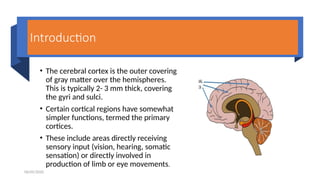 Applied Anatomy & Phsiology of Cortex.pptx