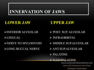 Applied anatomy,physiology for dental implants | PDF