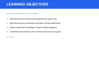 Comprehensive Applied Anatomy of the Upper Limb: Bones, Landmarks, and ...