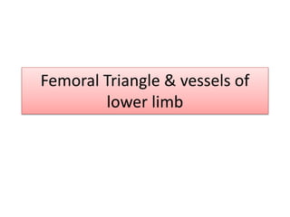 Femoral Triangle & vessels of
lower limb
 