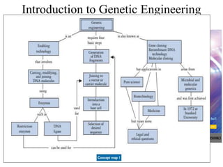 Introduction to Genetic Engineering
• The Central Dogma
• Concept Maps of Genetic Engineering
 