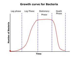 Normal Cell Growth Graph Applied biology for Competitive Exams | PPTX