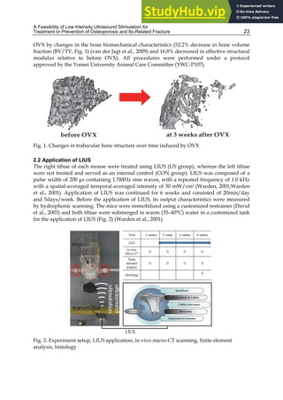 A Feasibility of Low Intensity Ultrasound Stimulation for
Treatment or Prevention of Osteoporosis and Its-Related Fracture 23
OVX by changes in the bone biomechanical characteristics (52.2% decrease in bone volume
fraction (BV/TV, Fig. 1) (van der Jagt et al., 2009) and 16.8% decreased in effective structural
modulus relative to before OVX). All procedures were performed under a protocol
approved by the Yonsei University Animal Care Committee (YWC-P107).
Fig. 1. Changes in trabecular bone structure over time induced by OVX
2.2 Application of LIUS
The right tibiae of each mouse were treated using LIUS (US group), whereas the left tibiae
were not treated and served as an internal control (CON group). LIUS was composed of a
pulse width of 200 μs containing 1.5MHz sine waves, with a repeated frequency of 1.0 kHz
with a spatial-averaged temporal-averaged intensity of 30 mW/cm2 (Warden, 2001;Warden
et al., 2001). Application of LIUS was continued for 6 weeks and consisted of 20min/day
and 5days/week. Before the application of LIUS, its output characteristics were measured
by hydrophonic scanning. The mice were immobilized using a customized restrainer (David
et al., 2003) and both tibiae were submerged in warm (35–40°C) water in a customized tank
for the application of LIUS (Fig. 2) (Warden et al., 2001).
Fig. 2. Experiment setup, LIUS application, in vivo micro-CT scanning, finite element
analysis, histology
 