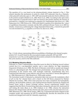 Multiscale Modeling of Myocardial Electrical Activity: From Cell to Organ 341
The equation of fATP was based on the pharmacokinetic scheme depicted in Fig. 1. This
scheme describes the mechanism of action by which ATP molecules close KATP channels,
while pinacidil molecules open it. ATP, ADP and pinacidil molecules bind to different sites
in the protein receptor (Nichols et al., 1991; Weiss et al., 1992). According to the open states
when molecules of pinacidil and/or ADP are bound to the protein channel, the fraction of
activated KATP channels was expressed in equation (5). Experimental data (Fan et al., 1990;
Nakayama et al., 1990; Weiss et al., 1992) were fitted to equation (5) to determine the values
of equilibrium dissociation constants and the Hill coefficient (H) (see Trenor et al. 2005 for
details). A factor (fPIN) addressing the voltage-dependent block of KATP channels by pinacidil
was also included in IK(ATP) equation, as in Fan et al. (Fan et al., 1990).
Fig. 1. Cyclic scheme representing different possibilities of binding to the channel receptor
protein. R, P, A and D stand for the unoccupied receptor, pinacidil, ATP and ADP
respectively. ki are the overall equilibrium dissociation constants for the different steps of
the cyclic reaction, and H is the Hill coefficient.
2.2.2 Modeling lidocaine effects
Lidocaine is a class I antiarrhythmic drug that exerts its effect by blocking inward sodium
current (INa) in a use-dependent manner, and is more effective for high stimulation
frequencies (Clarkson et al., 1988). The block of lidocaine exists both as neutral and charged
forms at a physiological pH. The charged form predominates at low pH (6.4) due to the
protonation of the neutral form with hydrogen molecules. Experimental data have
confirmed that lidocaine is more effective and recovery from block is slowed (Broughton et
al., 1984; Moorman et al., 1986; Wendt et al., 1993) under acidosis.
The formulated model of lidocaine-INa interaction takes into account the modulatory effect
of pH on the Na+ channel block and is based on the GR theory proposed by Starmer
(Starmer  Courtney, 1986). Three main processes have been considered: the hydrophobic
pathway, the hydrophilic pathway, and coupling between blocked channels by charged and
neutral forms using a proton exchange process. Several experimental studies have
suggested that the block of neutral drug takes place during the activated (O), inactivated (I)
and resting (R) states (Bean et al., 1983; Clarkson et al., 1988), whereas the interaction
between the charged form with the channel only takes place in the activated state (Liu et al.,
2003; Moorman et al., 1986; Yeh  Tanguy, 1985). Fig. 2 represents the kinetic diagram of the
complete model, and equations (6) and (7) mathematically describe the interaction of the
neutral and charged form with Na+ channels, respectively.
R PR PRAH
RAH
DR PDR PDRAH
DRAH
+HA +HA
+P
+HA +P
+D +D
+D
+D
+P
+P
k11’
k13’
k13
k1
k1’
kd2 k12 kd4
k12’
kd1 k11 kd3
+HA
 