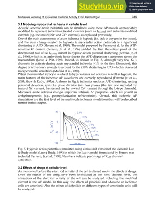Multiscale Modeling of Myocardial Electrical Activity: From Cell to Organ 345
3.1 Modeling myocardial ischemia at cellular level
Acutely ischemic action potentials can be simulated using these AP models appropriately
modified to represent ischemia-activated currents (such as IK(ATP)) and ischemic-modified
currents (e.g. the inward Na+ and Ca2+ currents), as explained previously.
One of the main components of acute ischemia is hypoxia (i.e. lack of oxygen in the tissue),
and the main change exerted by hypoxia to myocardial action potentials is a significant
shortening in APD (Morena et al., 1980). The model proposed by Ferrero et al. for the ATP-
sensitive K+ current (Ferrero, Jr. et al., 1996) yielded the first theoretical proof of the
determinant role of the IK(ATP) current in hypoxic action potential shortening (Ferrero, Jr. et
al., 1996), which is an arrhythmic factor due to the APD dispersion it generates across the
myocardium (Janse  Wit, 1989). Indeed, as shown in Fig. 5, although very few KATP
channels do activate during acute myocardial ischemia (1% in the first 15minutes), this
degree of activation is enough to account for the 50% shortening in APD which is observed
in experimental conditions (Morena et al., 1980).
When the simulated myocyte is subject to hyperkalemia and acidosis, as well as hypoxia, the
main features of the ischemic AP waveforms are correctly reproduced (Ferrero, Jr. et al.,
2003; Shaw  Rudy, 1997a). A shown in Fig. 6, ischemia produces APD shortening, resting
potential elevation, upstroke phase division into two phases (the first one mediated by
inward Na+ current, the second one by inward Ca2+ current through the L-type channels).
Moreover, acute ischemia changes important intrinsic AP properties which are pivotal in
arrhythmogenesis (e.g., postrepolarization refractoriness). Overall, this ischemic AP
simulations are the first level of the multi-scale ischemia simulations that will be described
further in this chapter.
Fig. 5. Hypoxic action potentials simulated using a modified version of the dynamic Luo
 Rudy model (Luo  Rudy, 1994) in which the IK(ATP) model formulated by Ferrero was
included (Ferrero, Jr. et al., 1996). Numbers indicate percentage of KATP channel
activation.
3.2 Effects of drugs at cellular level
As mentioned before, the electrical activity of the cell is altered under the effects of drugs.
Once the effects of the drug have been formulated at the ionic channel level, the
alterations of the electrical activity of the cell can be analyzed including the modified
current in the AP model. In this way, the effects of pinacidil and lidocaine on ischemic
cells are described. Also the effects of dofetilide on different types of ventricular cells will
be analyzed.
 