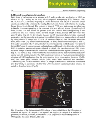 Applied Biomedical Engineering
24
2.3 Bone structural parameters analysis
Both tibiae of each mouse were scanned at 0, 3 and 6 weeks after application of LIUS, as
shown in Fig.1, using an in vivo micro-computed tomography (CT; Skyscan 1076,
SKYSCAN N.V., Aartselaar, Belgium) at a voxel resolution with 18 µm in each axis under
anesthesia induced by ketamine (1.5 ml/kg, Huons, Seoul, Korea) and xylazine (0.5 ml/kg,
Bayer Korea, Seoul, Korea). The volume of interest (VOI) was determined as following;
trabecular bone corresponding to the proximal tibia was selected from a 1.8-mm length of
bone, located 0.54 mm below the growth plate, and cortical bone corresponding to the
diaphyseal tibia was selected from a 0.9 mm length of bone, located 2.88 mm below the
growth plate (Fig. 3). To investigate changes in 3D structural characteristics, structural
parameters for the trabecular and cortical bone of both tibiae were measured and calculated
by using micro-CT images and CT-AN 1.8 software (Skyscan). For the entire trabecular
bone, the BV/TV (%), trabecular thickness (Tb.Th, mm), trabecular number (Tb.N, mm-1),
trabecular separation (Tb.Sp, mm), structure model index (SMI), and trabecular bone pattern
factor (Tb.Pf, mm-1) were measured and calculated. Additionally, to determine whether the
LIUS irradiation location/direction affected in detail, the two-dimensional (2D) cross-
sectional images of the trabecular bone were subdivided into five regions of interest (ROIs,
Fig. 3). The ROIs as they correspond to the maximum selectable diameter in the medullary
cavity were 0.5 mm in diameter. The ROI locations are shown in Fig. 3, corresponding to the
direction of LIUS application. For the entire cortical bone, cross-section thickness (Cs.Th,
mm) and mean polar moment inertia (MMI, mm4) were measured and calculated.
Additionally, the 2D cross-sectional micro-CT images of the cortical bone were subdivided
into four ROIs, to determine whether the LIUS irradiation location/direction affected in
detail, as described above (Fig. 3).
Fig. 3. Location of the 3 dimensional (3D) volume of interest (VOI) and the 2D regions of
interests, R1: region 1, R2: region 2, R3: region 3, R4: region 4, R5: region 5, A: anterior, P:
posterior, M: medial, L: lateral, white arrow: LIUS. (Figure was modified in Journal of
Orthopaedic Research, 29(2011), 116-125)
 