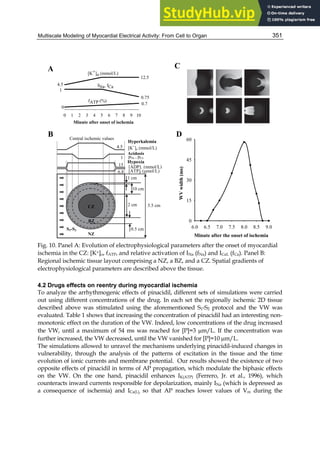 Multiscale Modeling of Myocardial Electrical Activity: From Cell to Organ 351
Fig. 10. Panel A: Evolution of electrophysiological parameters after the onset of myocardial
ischemia in the CZ: [K+]o, fATP, and relative activation of INa (fNa) and ICaL (fCa). Panel B:
Regional ischemic tissue layout comprising a NZ, a BZ, and a CZ. Spatial gradients of
electrophysiological parameters are described above the tissue.
4.2 Drugs effects on reentry during myocardial ischemia
To analyze the arrhythmogenic effects of pinacidil, different sets of simulations were carried
out using different concentrations of the drug. In each set the regionally ischemic 2D tissue
described above was stimulated using the aforementioned S1-S2 protocol and the VW was
evaluated. Table 1 shows that increasing the concentration of pinacidil had an interesting non-
monotonic effect on the duration of the VW. Indeed, low concentrations of the drug increased
the VW, until a maximum of 54 ms was reached for [P]=3 m/L. If the concentration was
further increased, the VW decreased, until the VW vanished for [P]=10 m/L.
The simulations allowed to unravel the mechanisms underlying pinacidil-induced changes in
vulnerability, through the analysis of the patterns of excitation in the tissue and the time
evolution of ionic currents and membrane potential. Our results showed the existence of two
opposite effects of pinacidil in terms of AP propagation, which modulate the biphasic effects
on the VW. On the one hand, pinacidil enhances IK(ATP) (Ferrero, Jr. et al., 1996), which
counteracts inward currents responsible for depolarization, mainly INa (which is depressed as
a consequence of ischemia) and ICa(L), so that AP reaches lower values of Vm during the
Minute after the onset of ischemia
6.0 6.5 7.0 7.5 8.0 8.5 9.0
WV
width
(ms)
0
15
30
45
60
A
0.7
Minute after onset of ischemia
0 1 2 3 4 5 6 7 8 9 10
12.5
0
[K+]o (mmol/L)
4.5
fATP (%)
fNa, fCa
0.75
1
B
C
0.5 cm
NZ
BZ
5.5 cm
1 cm
10 cm
[K+
]o (mmol/L)
pNa , pCa
[ATP]i (mol/L)
[ADP]i (mmol/L)
4.5
1
6.8
15
Hyperkalemia
Hypoxia
Acidosis
CZ 2 cm
S1-S2
Central ischemic values
D
 